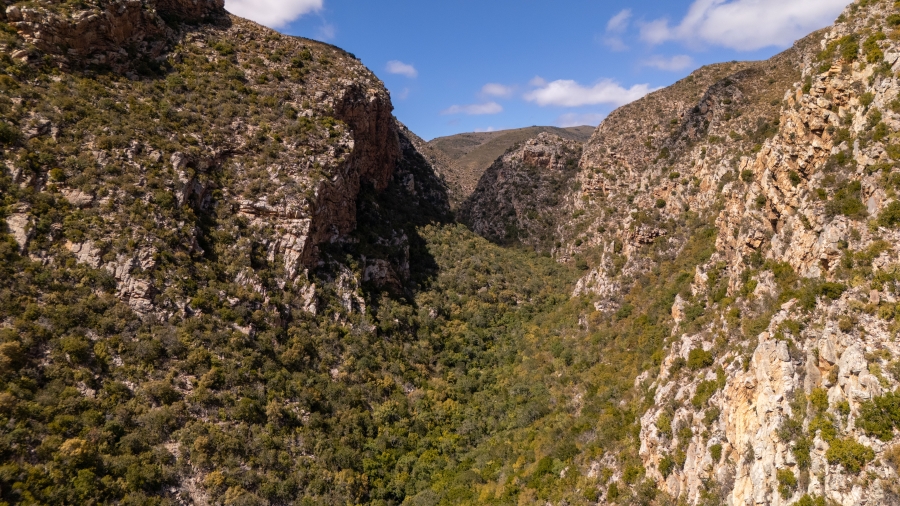 5 Bedroom Property for Sale in Uitenhage Rural Eastern Cape